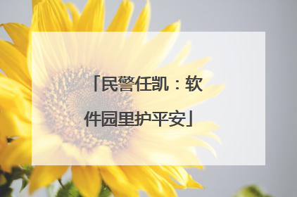 民警任凯：软件园里护平安