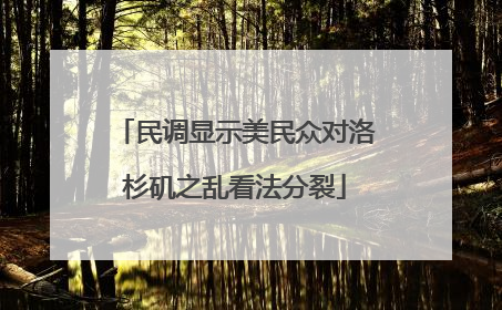 民调显示美民众对洛杉矶之乱看法分裂