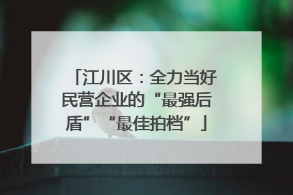 江川区：全力当好民营企业的“最强后盾”“最佳拍档”
