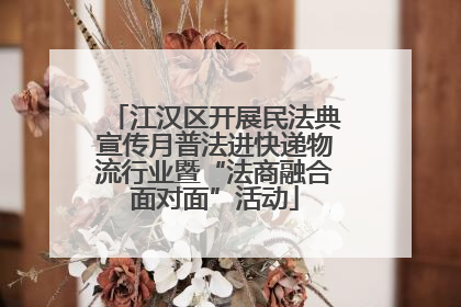江汉区开展民法典宣传月普法进快递物流行业暨“法商融合面对面”活动