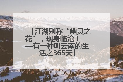 江湖别称“幽灵之花”，现身临沧！——有一种叫云南的生活之365天
