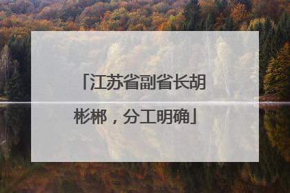 江苏省副省长胡彬郴，分工明确