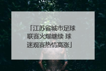 江苏省城市足球联赛火爆继续 球迷观赛热情高涨