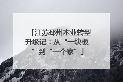 江苏邳州木业转型升级记：从“一块板”到“一个家”