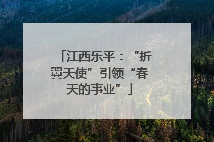 江西乐平：“折翼天使”引领“春天的事业”
