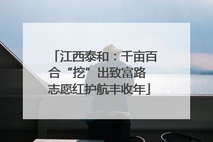 江西泰和：千亩百合“挖”出致富路 志愿红护航丰收年