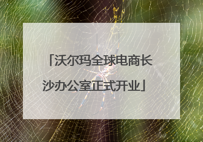 沃尔玛全球电商长沙办公室正式开业