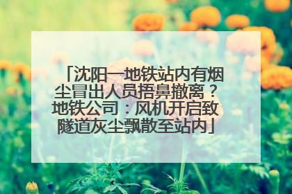 沈阳一地铁站内有烟尘冒出人员捂鼻撤离？地铁公司：风机开启致隧道灰尘飘散至站内