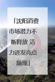 沈阳消费市场潜力不断释放 活力迸发亮点频现