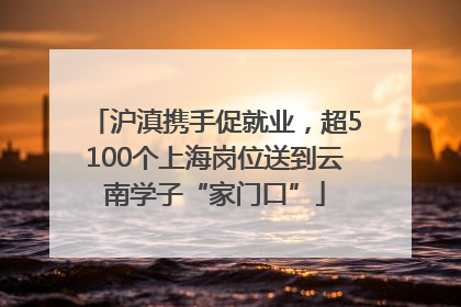 沪滇携手促就业，超5100个上海岗位送到云南学子“家门口”