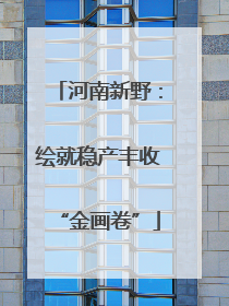 河南新野：绘就稳产丰收“金画卷”