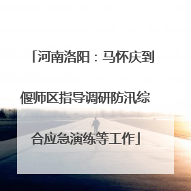河南洛阳：马怀庆到偃师区指导调研防汛综合应急演练等工作