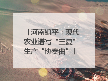 河南镇平：现代农业谱写“三夏”生产“协奏曲”