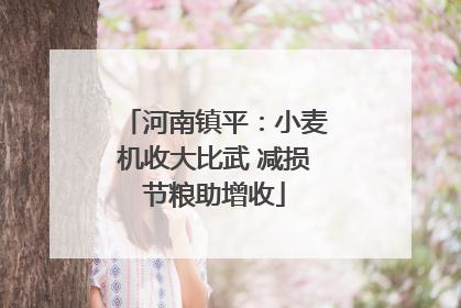 河南镇平：小麦机收大比武 减损节粮助增收