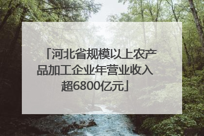 河北省规模以上农产品加工企业年营业收入超6800亿元