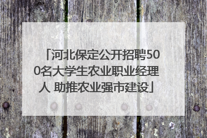 河北保定公开招聘500名大学生农业职业经理人 助推农业强市建设