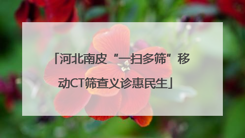 河北南皮“一扫多筛”移动CT筛查义诊惠民生