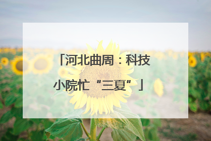 河北曲周：科技小院忙“三夏”