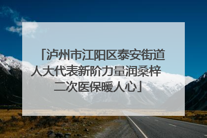 泸州市江阳区泰安街道人大代表新阶力量润桑梓 二次医保暖人心