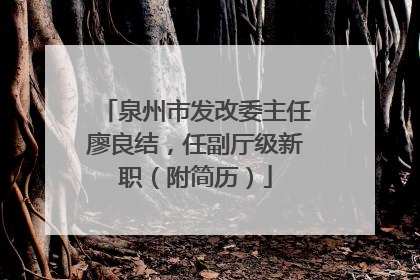 泉州市发改委主任廖良结，任副厅级新职（附简历）