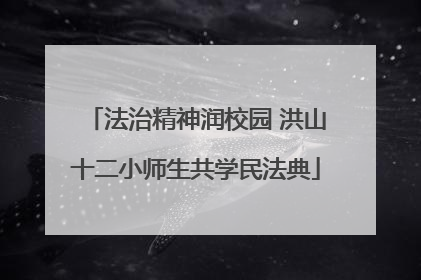 法治精神润校园 洪山十二小师生共学民法典