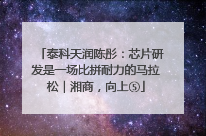 泰科天润陈彤：芯片研发是一场比拼耐力的马拉松｜湘商，向上⑤