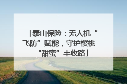 泰山保险：无人机“飞防”赋能，守护樱桃“甜蜜”丰收路