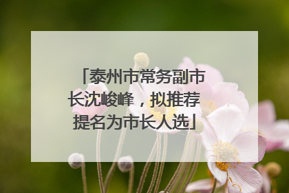泰州市常务副市长沈峻峰，拟推荐提名为市长人选