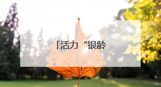 活力“银龄”的翱翔梦