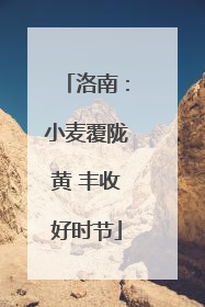 洛南：小麦覆陇黄 丰收好时节