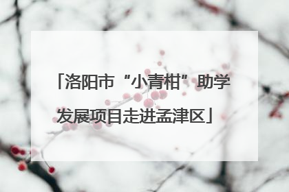 洛阳市“小青柑”助学发展项目走进孟津区