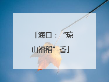 海口：“琼山福稻”香