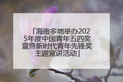 海南多地举办2025年度中国青年五四奖章暨新时代青年先锋奖主题宣讲活动