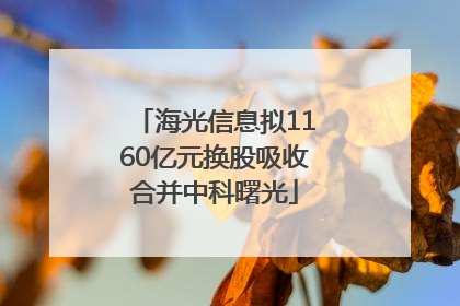 海光信息拟1160亿元换股吸收合并中科曙光