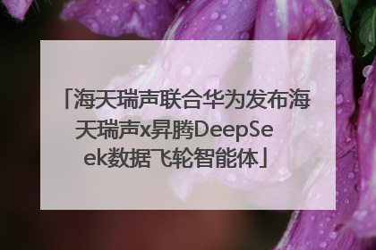 海天瑞声联合华为发布海天瑞声x昇腾DeepSeek数据飞轮智能体