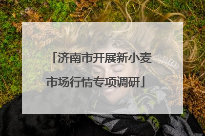 济南市开展新小麦市场行情专项调研