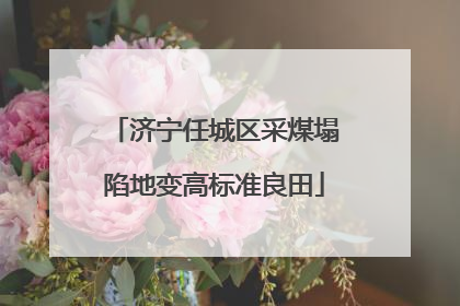 济宁任城区采煤塌陷地变高标准良田