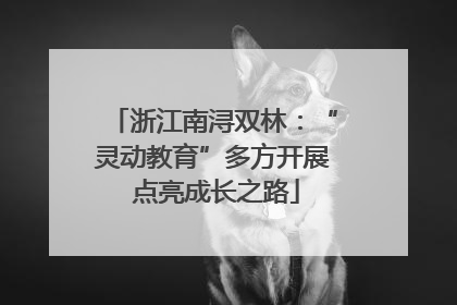 浙江南浔双林：“灵动教育”多方开展 点亮成长之路