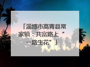淄博市高青县常家镇：共富路上“一路生花”