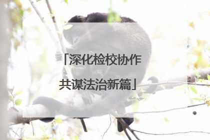 深化检校协作 共谋法治新篇
