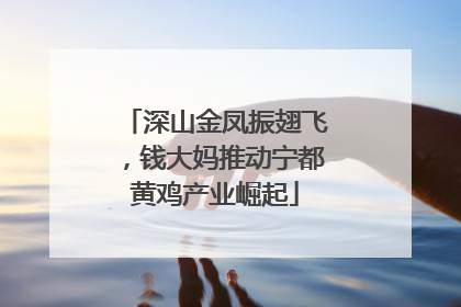 深山金凤振翅飞，钱大妈推动宁都黄鸡产业崛起