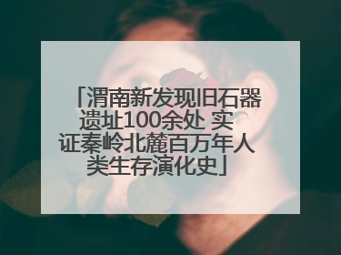渭南新发现旧石器遗址100余处 实证秦岭北麓百万年人类生存演化史