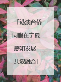 港澳台侨同胞在宁夏感知发展 共叙融合