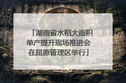 湖南省水稻大面积单产提升现场推进会在屈原管理区举行