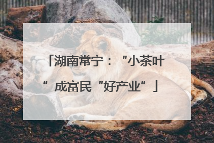 湖南常宁：“小茶叶”成富民“好产业”