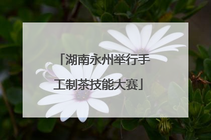湖南永州举行手工制茶技能大赛