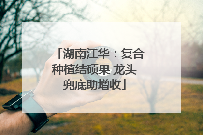 湖南江华：复合种植结硕果 龙头兜底助增收
