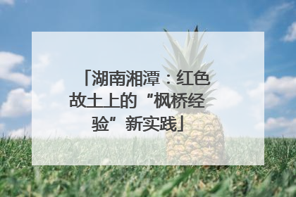 湖南湘潭：红色故土上的“枫桥经验”新实践