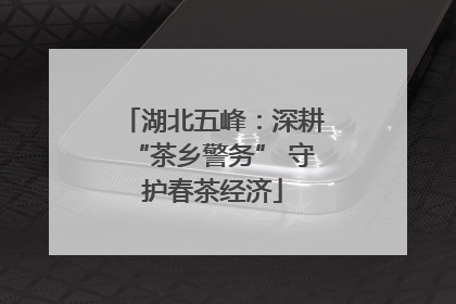 湖北五峰：深耕“茶乡警务” 守护春茶经济
