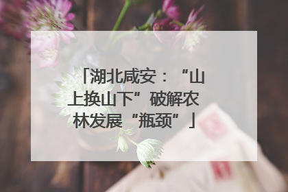 湖北咸安：“山上换山下”破解农林发展“瓶颈”